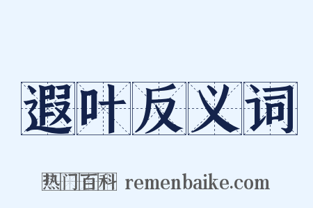 遐叶反义词是什么意思的图片
